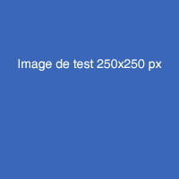 Un autre article avec un plus petite photo