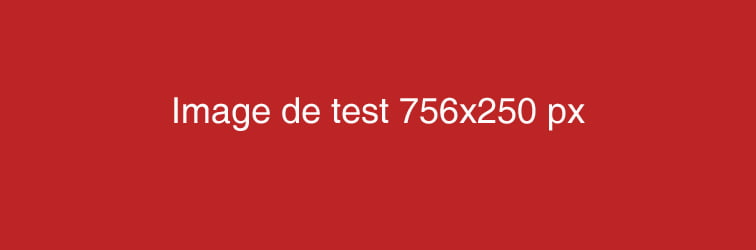 Article de test avec image