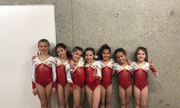 Artistique – Championnat Genevois – Bois des Frères – Le titre de Vice-Championne Romande pour Géraldine et des distinctions pour Valentina, Patricia, Maylis, Shay, Géraldine et Léa